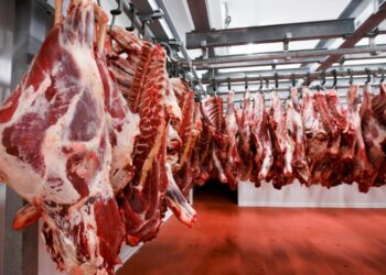 أسعار اللحوم في مصر اليوم الاربعاء