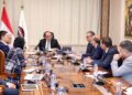 وزير قطاع الأعمال يلتقي تحالف شركتي “إنفيجن إنيرجي” و”بنشمارك باور إنترناشونال”