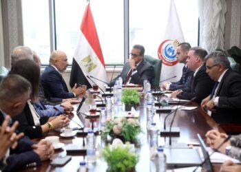 إي آند مصر شريك استراتيجي في تطوير البنية الرقمية للقطاع الصحي