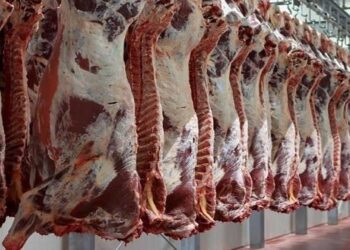 أسعار اللحوم في مصر اليوم الأحد