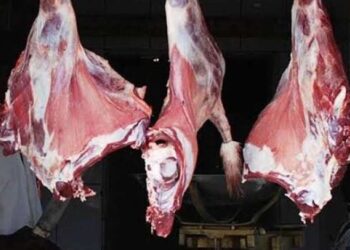 أسعار اللحوم في مصر اليوم الجمعة