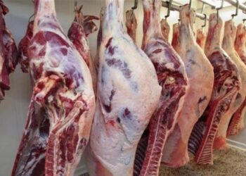 أسعار اللحوم في مصر اليوم الثلاثاء