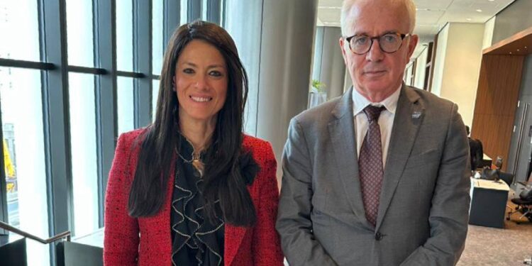 وزيرة التخطيط تعقد لقاءات مكثفة مع مسئولي الحكومات والمؤسسات الدولية والإفريقية