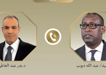 اتصال هاتفي بين وزير الخارجية ونظيره المالي