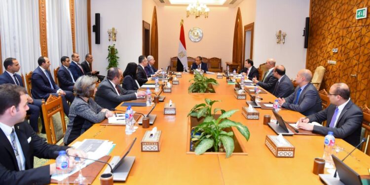 وزير الخارجية يؤكد أولوية الدائرة الإفريقية في السياسة الخارجية المصرية