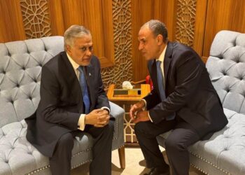 وزير الخارجية يلتقى نظيره الباكستاني ويبحثان تعزيز العلاقات الثنائية والتطورات الإقليمية