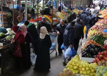 أسعار الخضار والفاكهة في الأسواق اليوم الإثنين