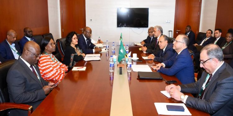 وزير الخارجية يلتقي رؤساء بنك التصدير والاستيراد الأفريقي وبنك التنمية الأفريقي والمديرة التنفيذية للنيباد