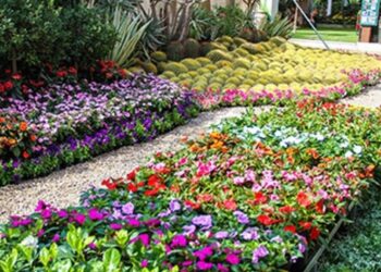 “الزراعة” تعلن فتح باب الحجز للمشاركة بمعرض زهور الربيع 2026