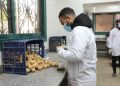  “الزراعة” تعلن حصاد جهود “المعمل المركزي لفحص وتصدير البطاطس” خلال فبراير