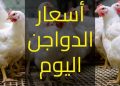 أسعار الدواجن في الأسواق اليوم الثلاثاء