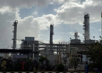 وزيرة التنمية: الانتهاء من الربط الإلكتروني لمنظومة الرصد الذاتي بمداخن شركة “إيلاب” في الإسكندرية