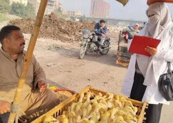 الزراعة: فحص أكثر من 555 ألف طائر و180 ألف رأس ماشية خلال فبراير