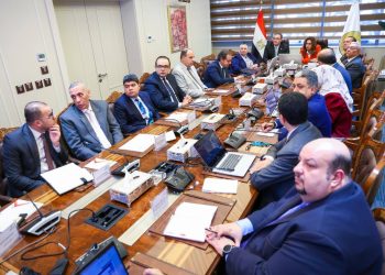 وزيرة التنمية المحلية ورئيس الجهاز المركزي للتنظيم والإدارة يوافقان على الهيكل التنظيمي المحدث للوزارة