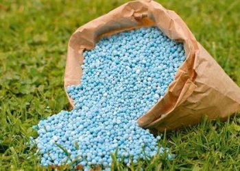 “الزراعة”: استقرار كامل في إمدادات الأسمدة المدعمة ولا نقص في الحصص